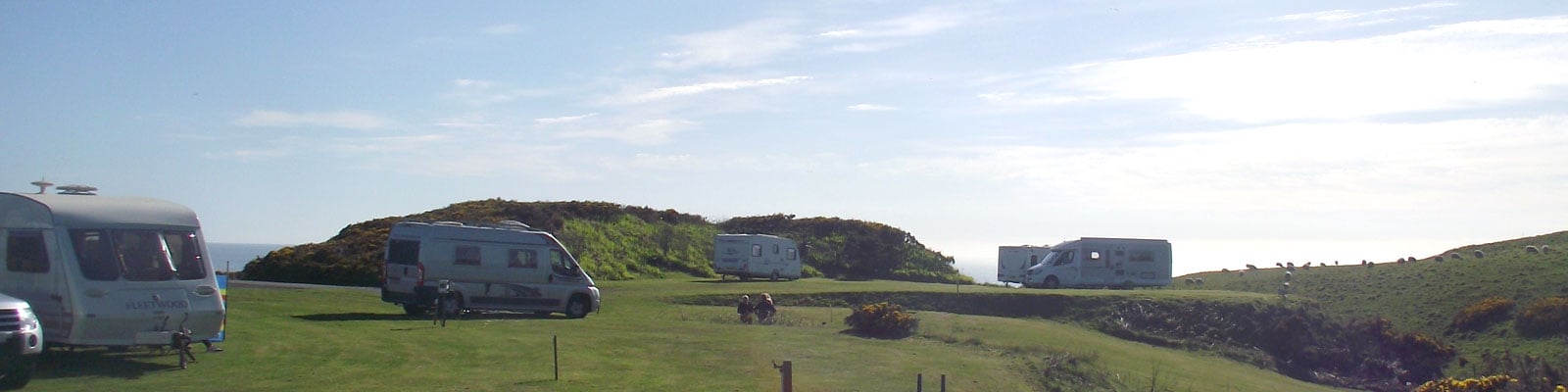 Galloway Point Holiday Park — photo 7